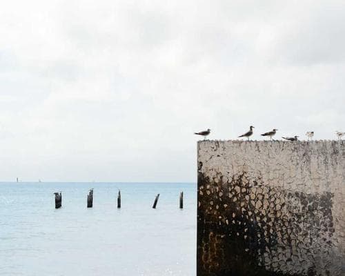 Latest Innovations Pave the Way to a Sustainable Future
